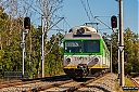 IMG_5397_1.jpg
